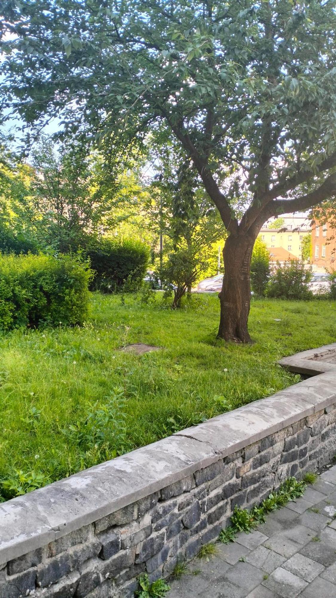 Apartment Night Host Krakowska 3 Przy Rynku Free Parking